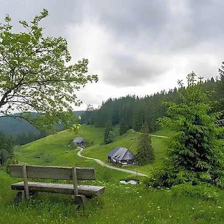 Hotel Schwarzwaldglueck 3*